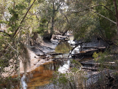 [Except that both the water level and the banks are shallow, this would appear to be a stream through trees.]